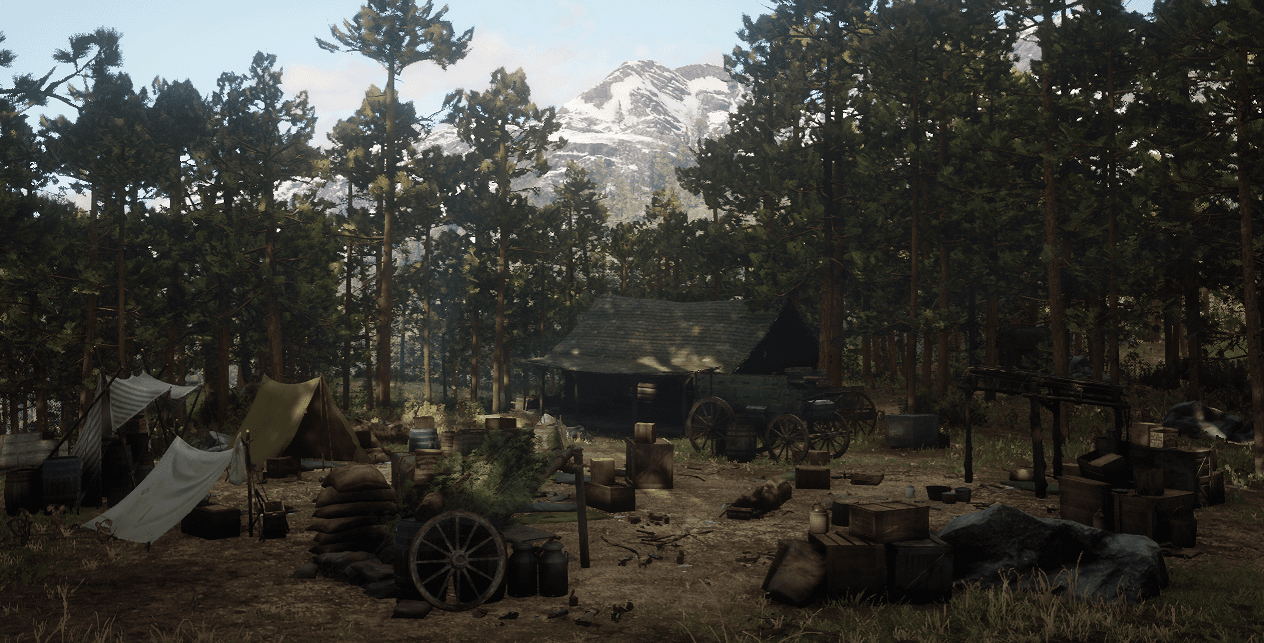 Forest Hide